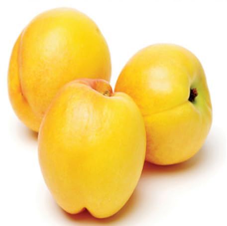 Yellow Nectarine Seeds – Heirloom, Non-GMO, High Germination Organic Garden Seeds