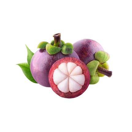 Purple Mangosteen Seeds – Heirloom, Non-GMO, High Germination Organic Garden Seeds