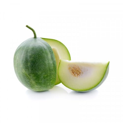 Pumpkin Green Seeds – Heirloom, Non-GMO, High Germination Organic Garden Seeds Planting