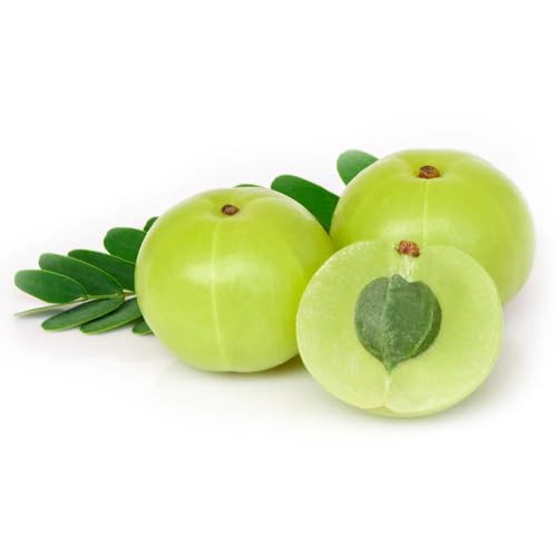 Green Gooseberry Seeds – Heirloom, Non-GMO, High Germination Organic Garden Seeds