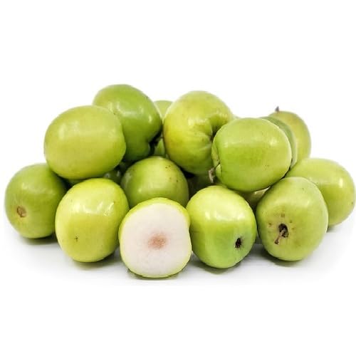 Green Jujube Seeds – Heirloom, Non-GMO, High Germination Organic Garden Seeds