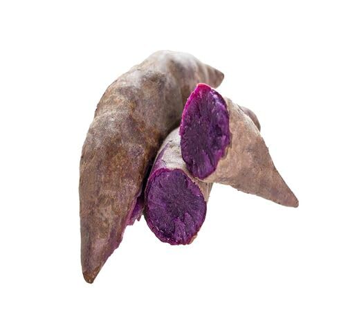 Purple Yacon Seeds – Heirloom, Non-GMO, High Germination Organic Garden Seeds Planting