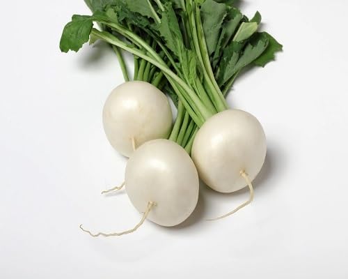 White Turnip Seeds – Heirloom, Non-GMO, High Germination Organic Garden Seeds Planting