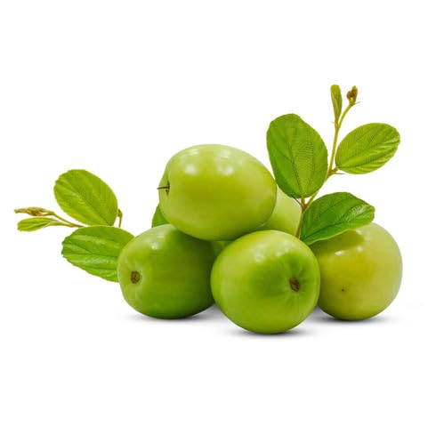 Green Jujube Seeds – Heirloom, Non-GMO, High Germination Organic Garden Seeds
