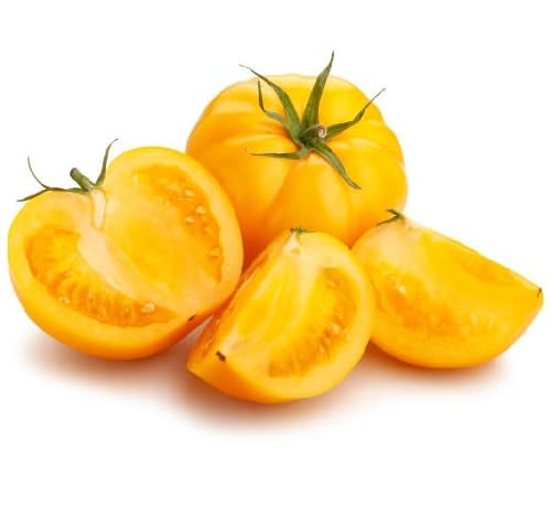 Semillas de tomate amarillo – Herencia, sin OGM, alta germinación Semillas de jardín orgánicas para plantar