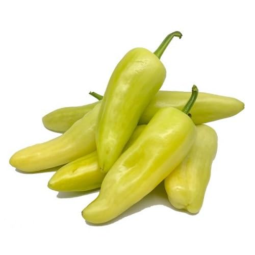 Chili Pepper Green Seeds – Heirloom, Non-GMO, High Germination Organic Garden Seeds Planting