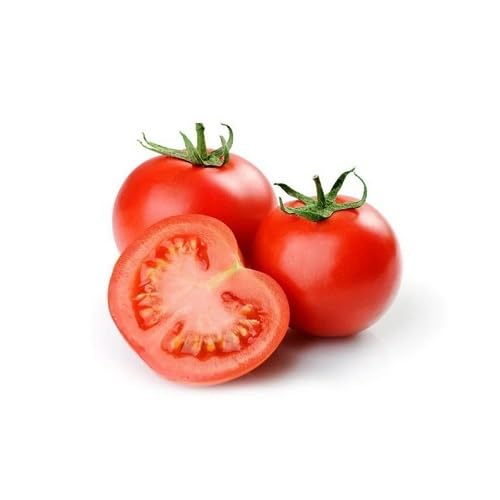 Tomaten Rote Samen – Alte Sorte, gentechnikfrei, hohe Keimrate Bio-Gartensamen Pflanzung