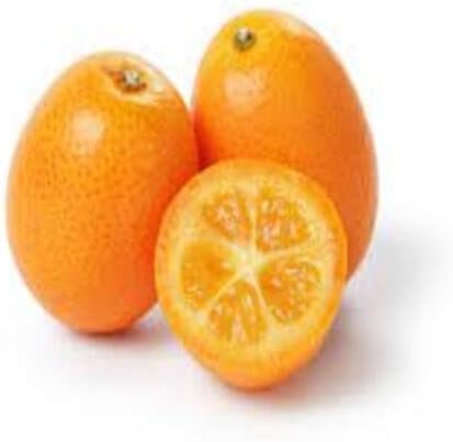 Orange Kumquat Fruit Seeds – Heirloom, Non-GMO, High Germination Organic Garden Seeds