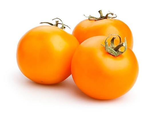 Orange Tomato Seeds – Heirloom, Non-GMO, High Germination Organic Garden Seeds Planting