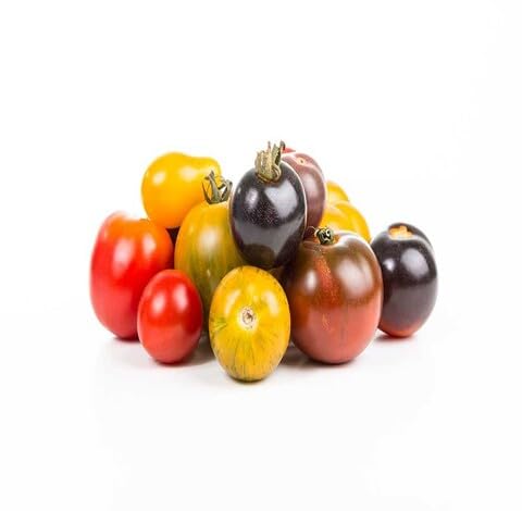 Mixed Tomato Seeds – Heirloom, Non-GMO, High Germination Organic Garden Seeds Planting