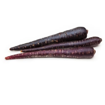 Black Carrot Seeds – Heirloom, Non-GMO, High Germination Organic Garden Seeds Planting