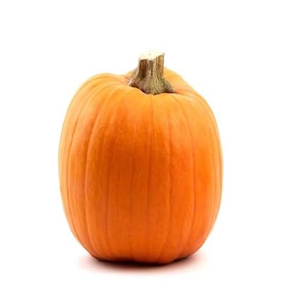 Pumpkin Seeds – Heirloom, Non-GMO, High Germination Organic Garden Seeds Planting
