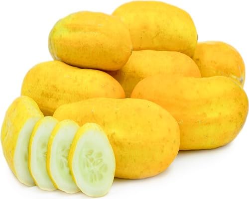 Cucumber Yellow Seeds – Heirloom, Non-GMO, High Germination Organic Garden Seeds Planting