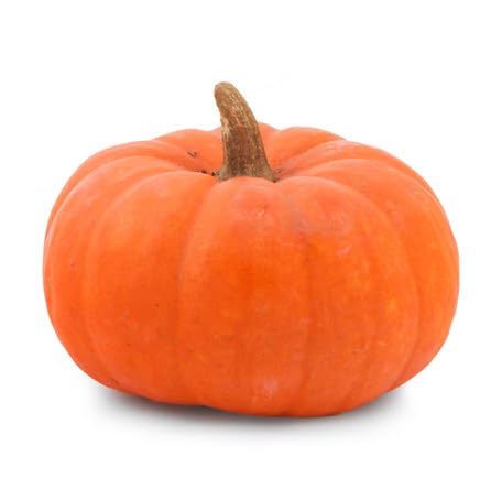 Orange Pumpkin Seeds – Heirloom, Non-GMO, High Germination Organic Garden Seeds Planting