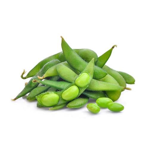 Grüne Edamame-Samen – Alte Sorte, gentechnikfrei, hohe Keimfähigkeit, Bio-Gartensamen zum Pflanzen