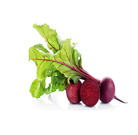Red Beetroot Seeds – Heirloom, Non-GMO, High Germination Organic Garden Seeds Planting