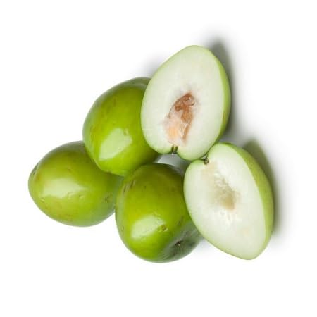 Jujube Seeds – Heirloom, Non-GMO, High Germination Organic Garden Seeds