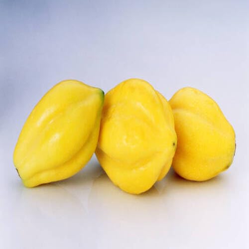 Papaya Seeds Yellow – Heirloom, Non-GMO, High Germination Organic Garden Seeds