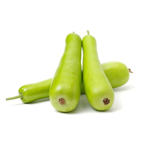 Green Bottlegourd Seeds – Heirloom, Non-GMO, High Germination Organic Garden Seeds Planting