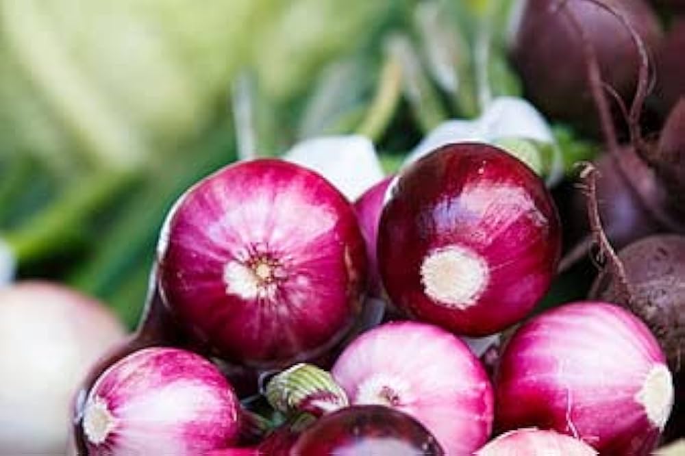 onion allium flower seeds