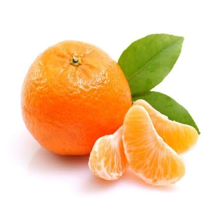 Orange Mandarin Seeds – Heirloom Non-GMO High Germination Organic Garden Seeds