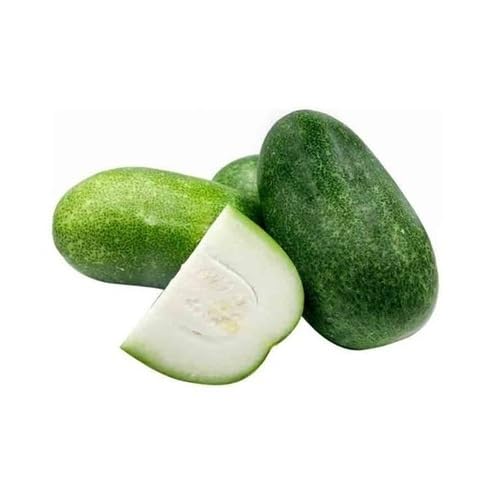 Green Ashgourd Seeds – Heirloom, Non-GMO, High Germination Organic Garden Seeds Planting