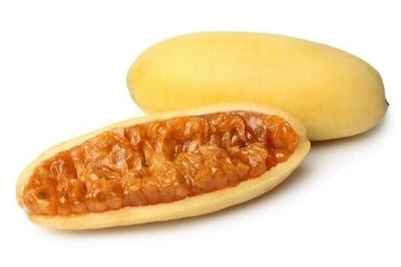 Banana Passion Seeds Yellow Heirloom Non-GMO High Germination Organic Garden Seeds for Planting