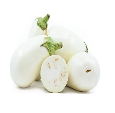 white eggplant flower seeds
