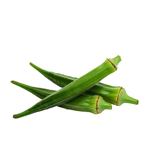 Okra Seeds – Heirloom, Non-GMO, High Germination Organic Garden Seeds Planting