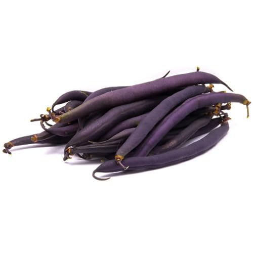 Purple Bean Seeds – Heirloom, Non-GMO, High Germination Organic Garden Seeds Planting