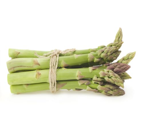 Semillas de Espárrago – Hereditario, No-GMO, Alta Germinación, Semillas Orgánicas para Jardín