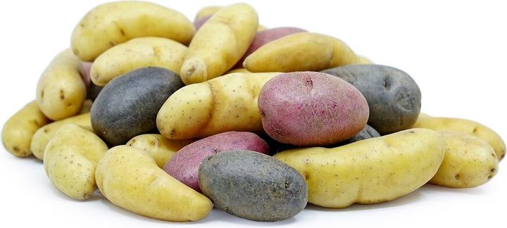 Fingerling Potato Mixed Variety Seeds - Heirloom, Non-GMO, Organic Garden Seeds