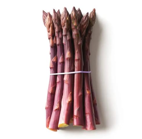 Purple Asparagus Seeds – Heirloom, Non-GMO, High Germination Organic Garden Seeds Planting
