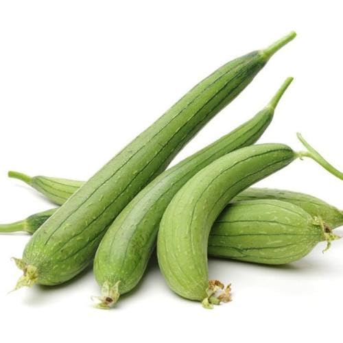 Semillas de Luffa Verde – Cimientes, No-GMO, Alta Germinación Semillas de Jardín Orgánicas para Siembra