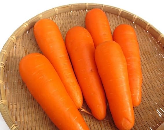 Carrot Seeds – Heirloom, Non-GMO, High Germination Organic Garden Seeds Planting
