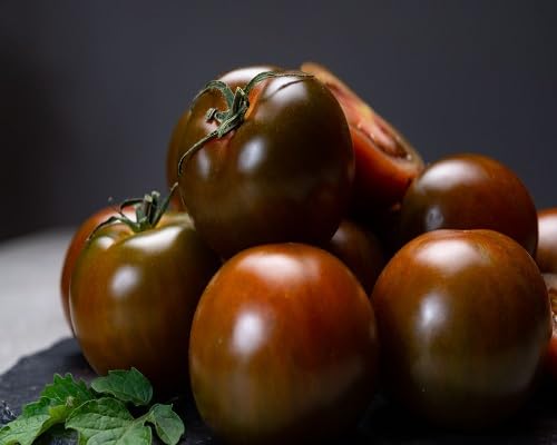 Brown Tomato Seeds – Heirloom, Non-GMO, High Germination Organic Garden Seeds Planting