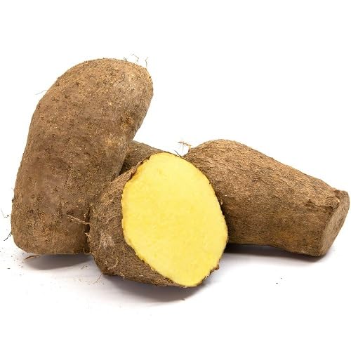 Yellow Yam Seeds – Heirloom, Non-GMO, High Germination Organic Garden Seeds Planting