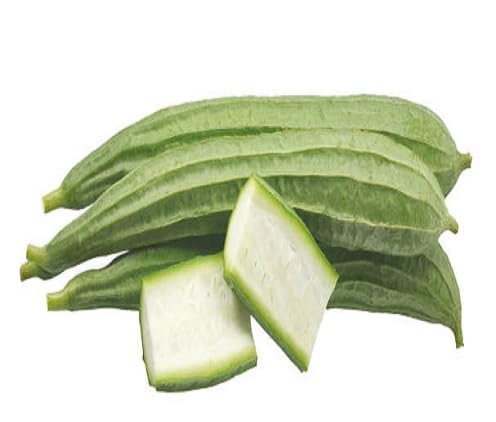 Semillas de Luffa Verde – Cimientes, No-GMO, Alta Germinación Semillas de Jardín Orgánicas para Siembra