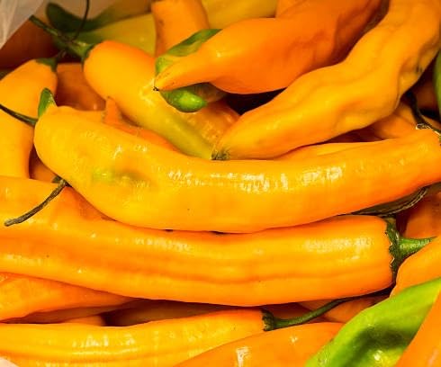 chilli heirloom non-gmo seeds