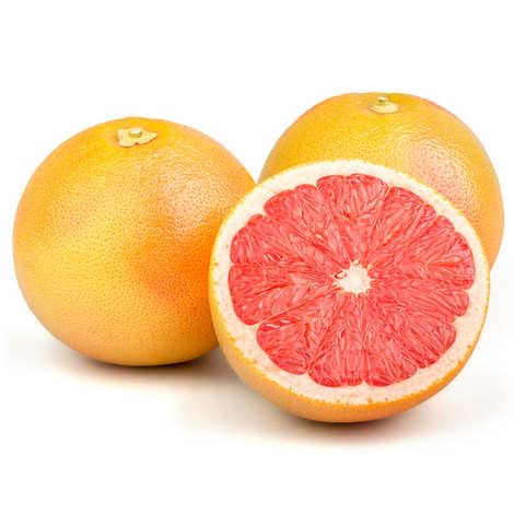 Red Pomelo Seeds – Heirloom, Non-GMO, High Germination Organic Garden Seeds