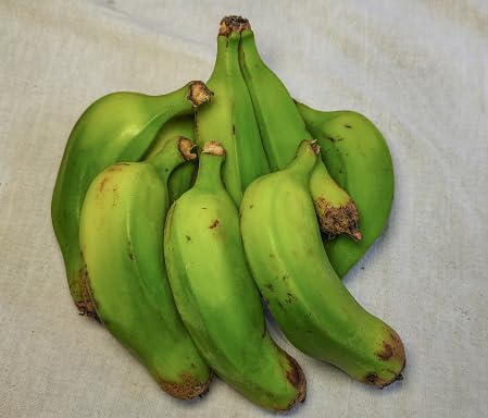Banana Seeds Green – Heirloom, Non-GMO, High Germination Organic Garden Seeds