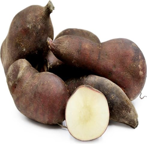 Brown Yacon Seeds for Planting – Heirloom, Non-GMO, High Germination Organic Garden Seeds