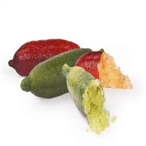 Finger Lime Fruit Seeds – Heirloom, Non-GMO, High Germination Organic Garden Seeds