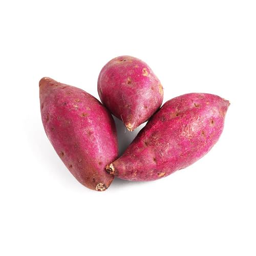 Pink Sweet Potato Seeds – Heirloom, Non-GMO, High Germination Organic Garden Seeds Planting