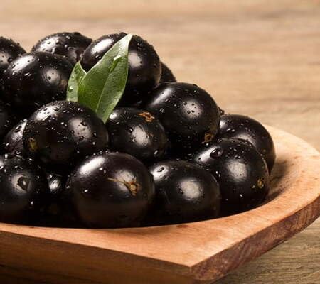 Jabuticaba Seeds – Heirloom, Non-GMO, High Germination Organic Garden Seeds