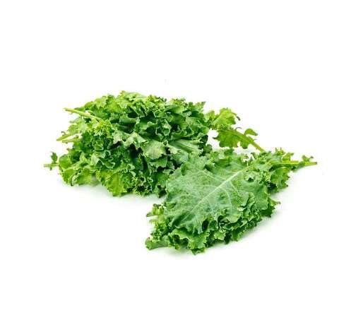 Green Kale Seeds – Heirloom, Non-GMO, High Germination Organic Garden Seeds Planting