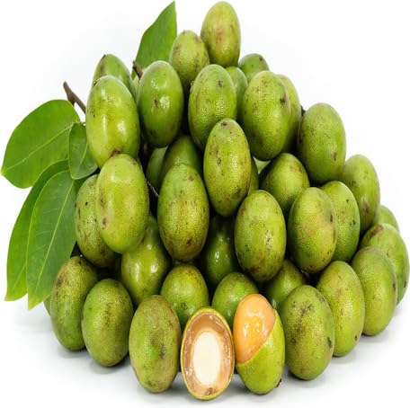 Green Mamoncillo Seeds – Heirloom, Non-GMO, High Germination Organic Garden Seeds