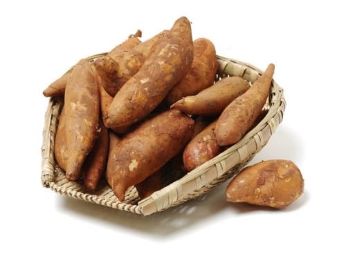 Brown Yacon Seeds for Planting – Heirloom, Non-GMO, High Germination Organic Garden Seeds