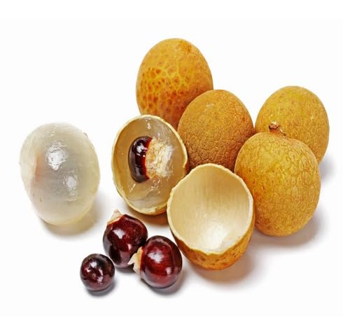 White Longan Seeds – Heirloom, Non-GMO, High Germination Organic Garden Seeds
