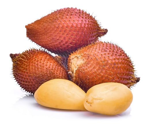 White Salak Seeds – Heirloom, Non-GMO, High Germination Organic Garden Seeds